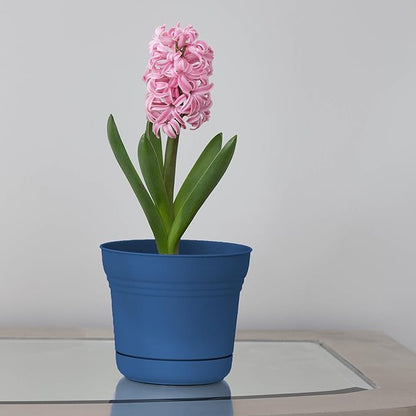 Bloem Saturn 7" Classic Blue Round Resin Planter Pot with Snap-in Saucer for Indoor and Outdoor Gardening