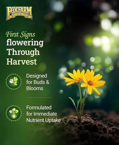 FoxFarm Fertilizer Soil Trio Liquid Nutrient: Tiger Bloom, Grow Big, Big Bloom Bottles - (Pack of 3-1 Pint)