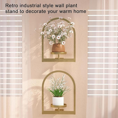 Wall Plant Holder, Wall Planter for Indoor Plants, Window Plant shelves for Multiple Plants Indoor Outdoor, Framed Plant Holder for Home Decor (2 Pack)