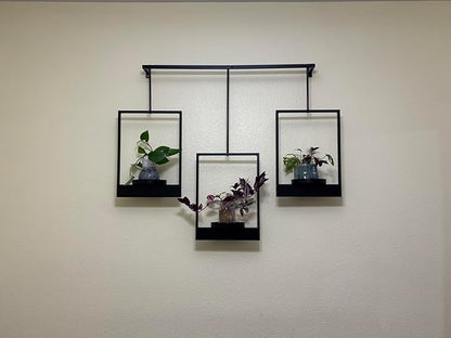 Wall Planters for Indoor Plants Wall Plant Holder Frame Plant Wall Hanger Window Plant Hanger for Livingroom Entryway (2)