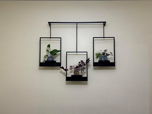 Wall Planters for Indoor Plants Wall Plant Holder Frame Plant Wall Hanger Window Plant Hanger for Livingroom Entryway (2)