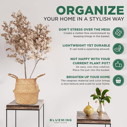 Olive Tree Basket – Wicker Seagrass Planter for Tall Indoor Faux Plants, Decorative Rattan Basket Cover for Houseplants, Snake Plant, Monstera, 7-8 Inch Pots (Original, Medium)