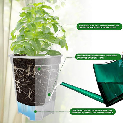 Cdd's Path Large Naked Root Planter Self Watering Pots Set with Holes for Indoor/Outdoor Plants, Planter Pot with Watering Hole/Reservior and Air Pipes (Clear, 8 inch-5 Pack)