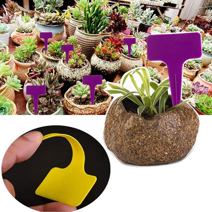 Ameolale 200PCS Plastic Nursery Garden Plant Labels - Waterproof Potted Plant Tags Reusable Seeds Markers T-Type Stakes - Eco Friendly for Vegetables Herb Flower Greenhouse(Purple)