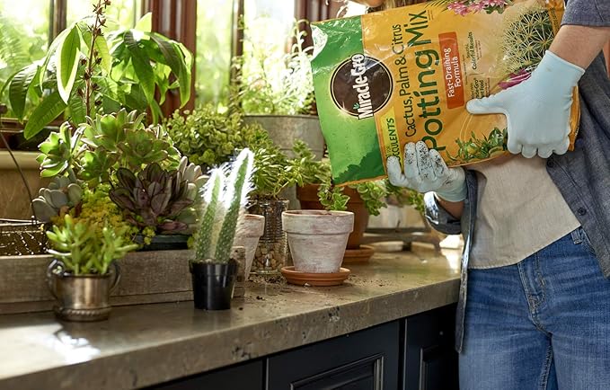 Miracle-Gro Cactus, Palm & Citrus Potting Mix, 8 qt.