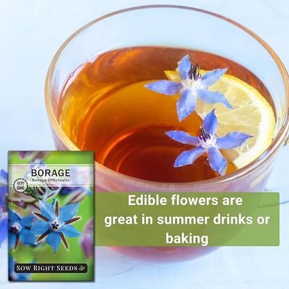 Sow Right Seeds - Borage Seed to Plant - Non-GMO Heirloom Seeds - Full Instructions for Easy Planting and Growing a Kitchen Herb Garden - Indoors or Outdoor - Great Gardening Gift (4)