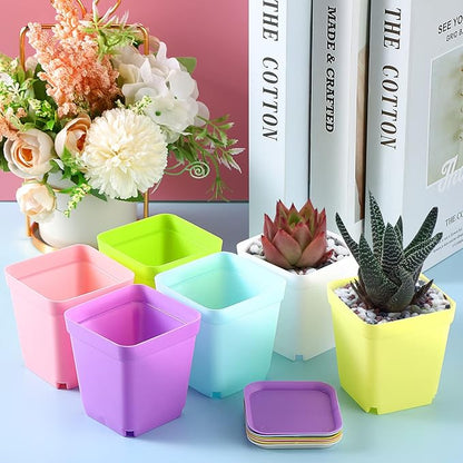 Zubebe 240 Pack Plastic Seedling Pots 3 Inch Flower Pots Small Square Plastic Plant Pots Succulent Planter Nursery Pots with Saucers for Outdoor Indoor Starting Seedlings Garden Room (Colorful)