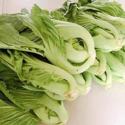 100 Pcs Seeds Heirloom | Non-GMO | Chinese Asian Vegetable Seeds Fresh Garden Seeds, Seeds, Gardeners Choice!