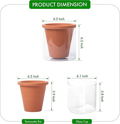 D'vine Dev 6 Inch Design Self Watering Pot for Indoor Plants, Terracotta Planter with Cylinder Glass Cup, 37-X-B-1