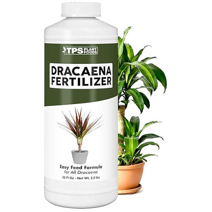 Dracaena Fertilizer - Liquid Plant Food for All Dracaena Plants and Trees, 32 oz