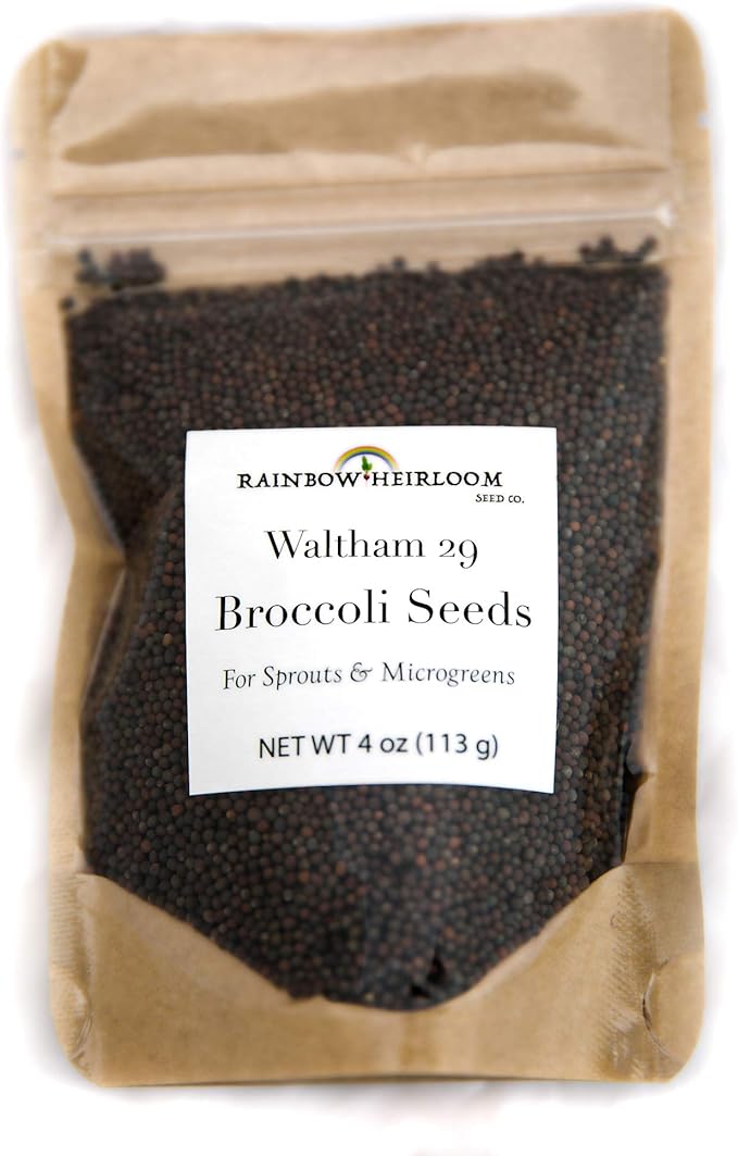 Heirloom Sprouting & Microgreen Seed Variety Pack | Contains Waltham 29 Broccoli Sprouting Seeds, Rainbow Radish Sprouting Seeds Mix & Superfood Microgreen Mix | Non-GMO | Rainbow Heirloom Seed Co.