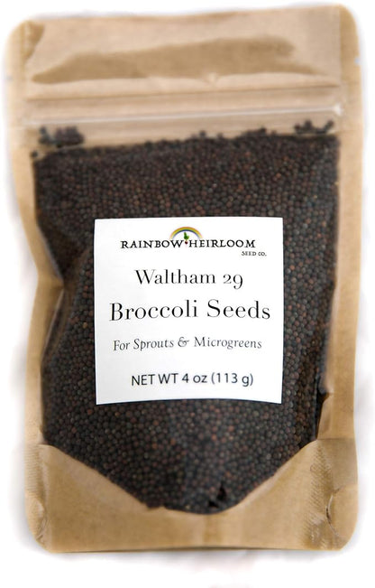 Heirloom Sprouting & Microgreen Seed Variety Pack | Contains Waltham 29 Broccoli Sprouting Seeds, Rainbow Radish Sprouting Seeds Mix & Superfood Microgreen Mix | Non-GMO | Rainbow Heirloom Seed Co.