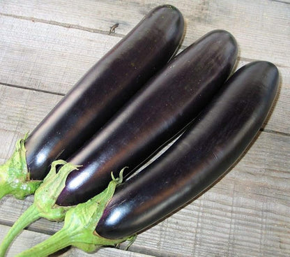 Seeds Vegetable Black Eggplant Long Pop - 30 Seeds