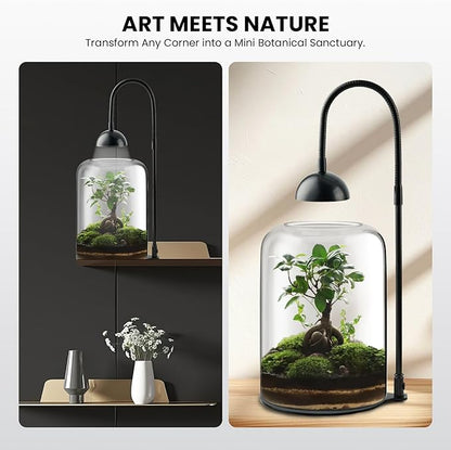 Glass Plant Terrarium with LED Light & Ventilation, Large Terrarium for Venus Fly Trap Live Plant with Ventilation, for Plants Ideal for Succulents, Home Office Desk Decor,8.2" Tall