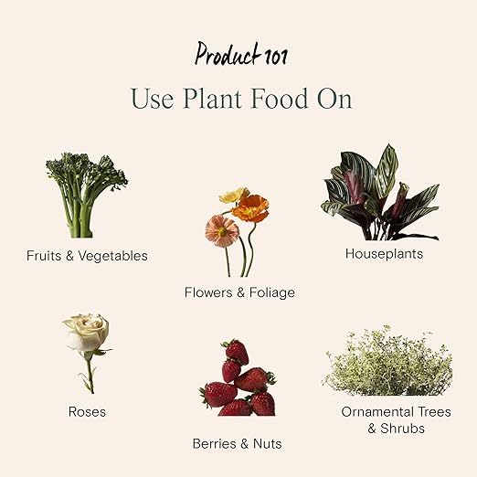 Arber Indoor Plant Health Kit, Ideal Grow Set for Indoor House Plant Use, Great for Flowers, Herbs and Potted Plants