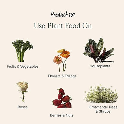 Arber Indoor Plant Health Kit, Ideal Grow Set for Indoor House Plant Use, Great for Flowers, Herbs and Potted Plants