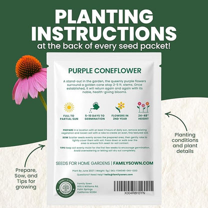 Purple Coneflower – 1,250 Seeds for Planting – 2026 Season – 5 Gram Pouch