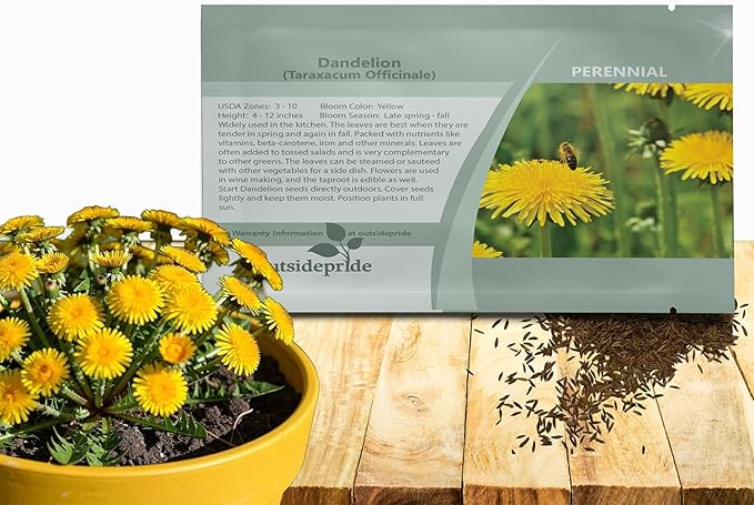 Outsidepride Dandelion Seeds for Planting - 10,000 Seeds Perennial, Easy to Grow & Drought Tolerant, Taraxacum Officinale Herb Seeds with Yellow Blooms for Edible Landscaping & Wildlife Attraction