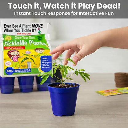 TickleMe Plant Deluxe Family Greenhouse Kit – Grow The Playful Plant That Closes Its Leaves When Tickled! Includes Mini Greenhouse, 3 Seed Packets, Soil Pellets & Pots – Fun Indoor Gardening Gift