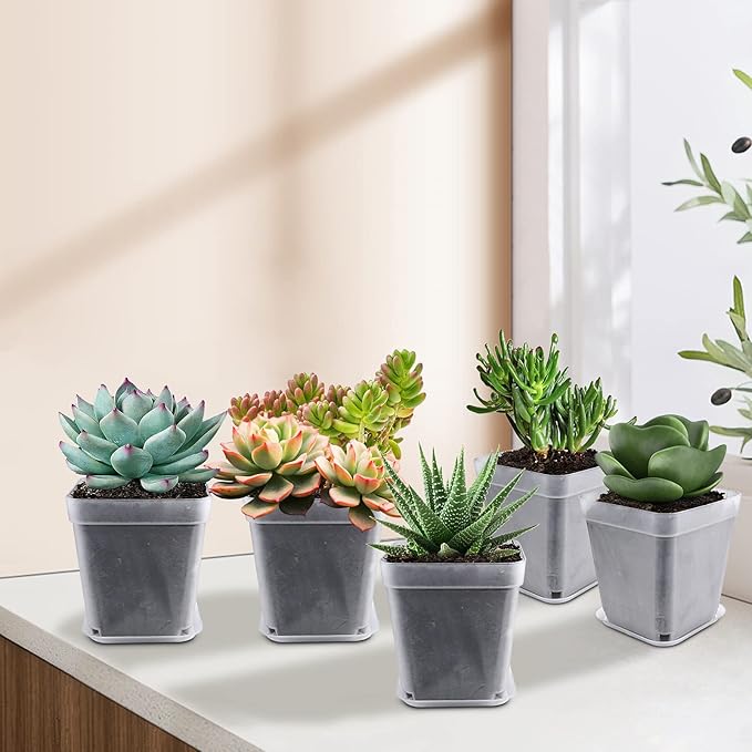 Square Nursery Pots Plastic 28 pcs 3 inches with Saucers and Plant Labels Reusable Seedling Pots Frosted Starter Plant Pots Mini Planter for Indoor/Outdoor