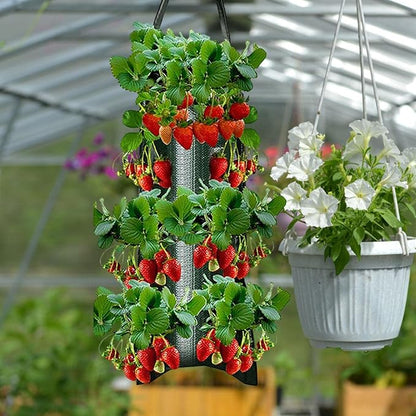 SOLGLO Planter, 70CM Hanging Bag, Upside Down Tomato/Herb/Strawberry Planter, 8 Hole, Indoor & Outdoor Use, Sun Shade Adaptable, Green