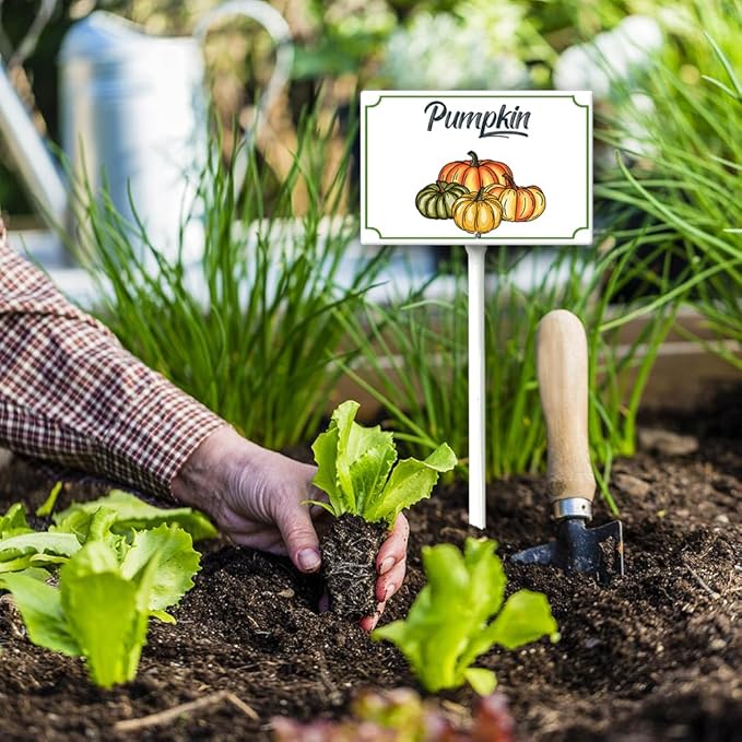 Boylee Vegetable Signs With Stake Pumpkin Garden Signs For Vegetables Herb Garden Signs Garden Name Stakes For Plants 8x12inch Outdoor Indoor Herbs Flowers Potted Plants