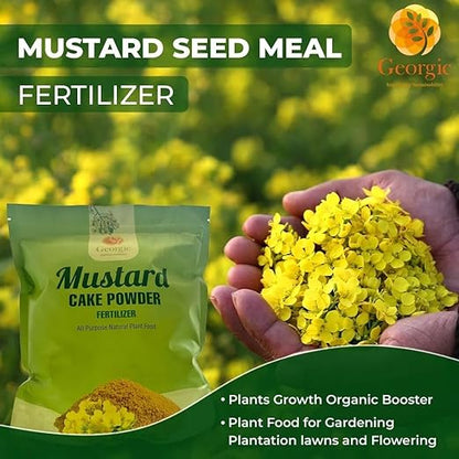 Mustard Oil Cake Powder – All-Purpose Natural Fertilizer for Flowers, Vegetables, Herbs, Fruit Trees & Plants – Natural Cold-Pressed Plant Food and Soil Conditioner – Booster for Lush Growth (3 lb)
