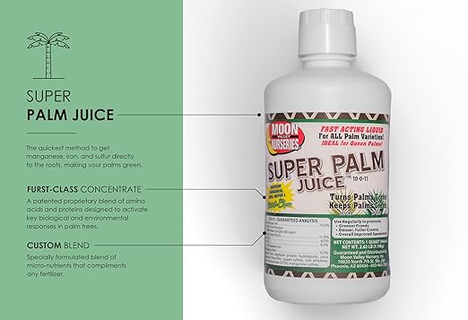 Super Palm Juice - Palm Tree Fertilizer - 1 Quart