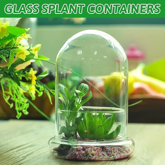 STARVAST 2PCS Glass Dome Cloche with Airhole and Base, 8.7 x 5.9 x 4.7 Inches, Clear Terrarium Planter Container for Plant Flower Home Tabletop Display Centerpiece, Plants Not Included