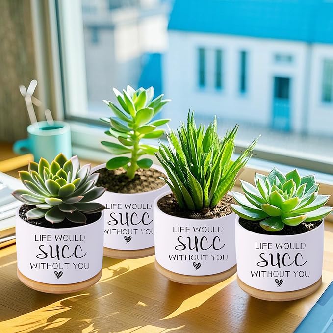 Funny planters for Indoor Plants,Funny Gifts for Planter Lover,Indoor Plants Garden Planters Succulent Pots, with Drainage Holes and Saucer(No Plants) (Life Would SUCC Without You)