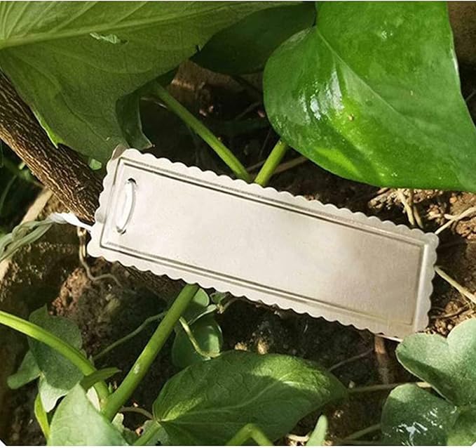 100 Pieces Aluminum Plant Label Tree Tags Flower Pot Waterproof Marker with Metal Wires for Indoor Outdoor Gardening Nursery, Greenhouses (Small, Wavy Edge)