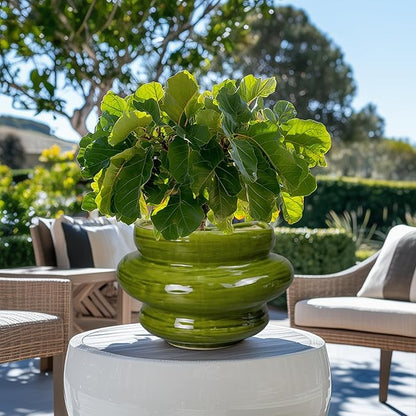 Ceramic Planters Bonsai 10.6 Inch - Planters with Drainage Hole, Flower Pots for Indoor Plants Outdoor Plants, Large Plant Pot for Home Decor, Gift for Men Women, Green