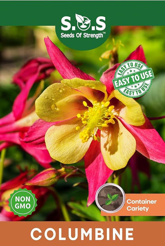 100 pcs Columbine McKana Giants Flower Seeds, Perennial Colorful Attracts Bees and Hummingbirds from USA Aquilegia caerulea