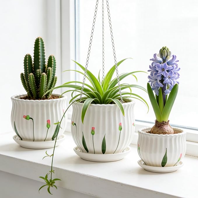 Plant Pots for Indoor Plants Set of 3, 4+5.3+6.7 Inch Ceramic Plant Pots with Drainage Hole，Cute Garden Pots Succulent Pots with Saucer