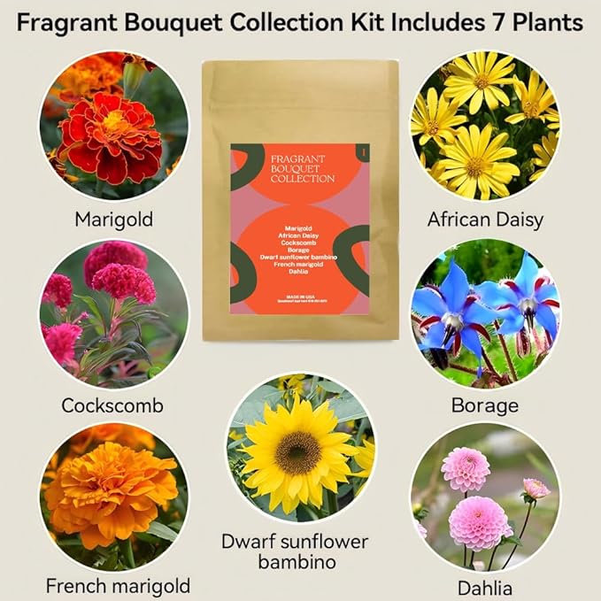 Inbloom Fragrant Bouquet Flower 7 Pods Seed Pod Kit for AeroGarden, iDoo, Ahopegarden, GARDENCUBE(350+ Flower Seeds with Marigold, Daisy, Cockscomb, Borage, Dwarf Sunflower Bambino, Marigold, Dahlia)
