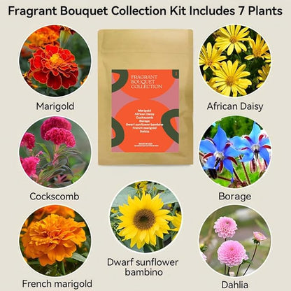 Inbloom Fragrant Bouquet Flower 7 Pods Seed Pod Kit for AeroGarden, iDoo, Ahopegarden, GARDENCUBE(350+ Flower Seeds with Marigold, Daisy, Cockscomb, Borage, Dwarf Sunflower Bambino, Marigold, Dahlia)