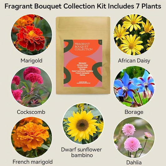 Inbloom Fragrant Bouquet Flower 7 Pods Seed Pod Kit for AeroGarden, iDoo, Ahopegarden, GARDENCUBE(350+ Flower Seeds with Marigold, Daisy, Cockscomb, Borage, Dwarf Sunflower Bambino, Marigold, Dahlia)