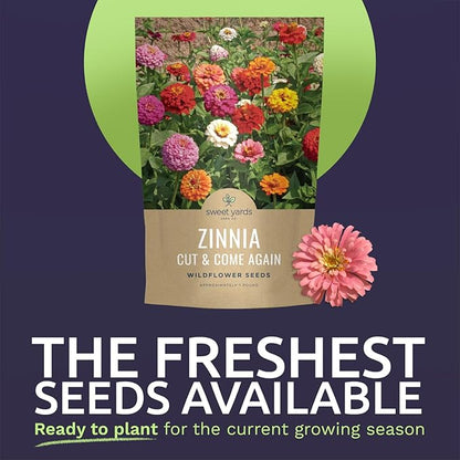 Zinnia Cut & Come Again Mix - Bulk 1 Pound Pouch - 60,000 Flower Seeds for Planting - Zinnia elegans