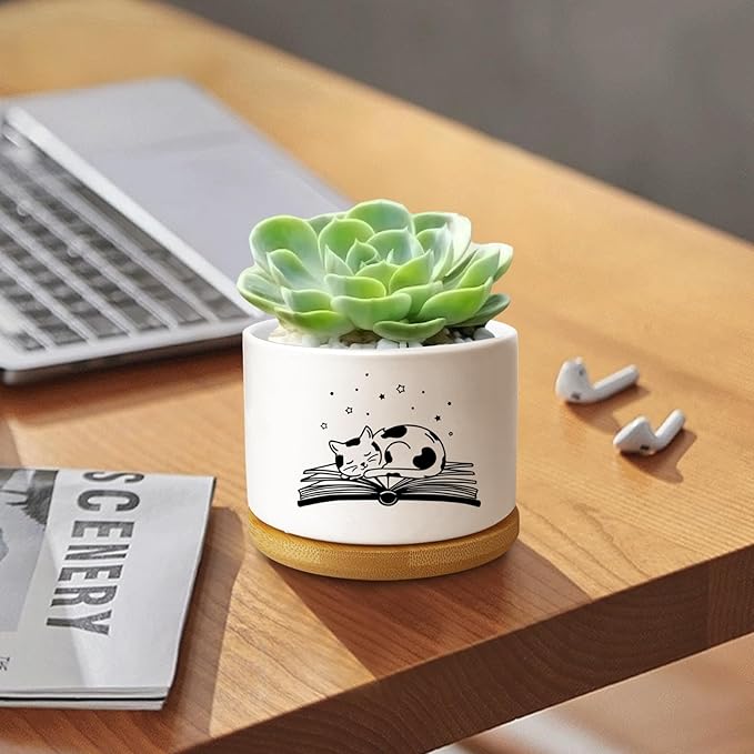 Funny Cat Ceramic Planter Pot, Cute Succulents Pots for Indoor for Cat Lover Women Friends Coworker Birthday Sister Bestie, Office Desk Windowsill Decor (Plants Not Included)