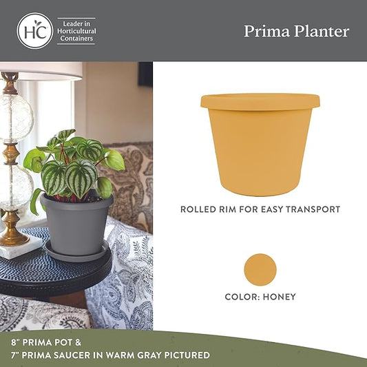 The HC Companies 6 Inch Prima Round Planter Pots with Drainage Holes and Rolled Rim, Lightweight UV-Resistant Plastic Indoor & Outdoor Planters, 4-Pack Flower Pots for Garden & Home Decor, Honey