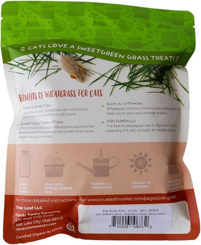 Organic Cat Grass Seed Blend for Planting – 12 oz – Wheat (Triticum aestivum), Barley (Hordeum vulgare), Oats (Avena sativa), and Rye (Secale cereale) Seeds – Non-GMO Grass Seed Mix for Pets