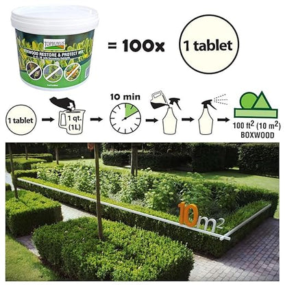 TOPBUXUS Boxwood Restore & Protect Mix - 10 tabs for 1,000 sq. ft.