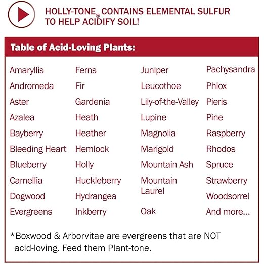 Espoma Organic Holly-Tone 4-3-4 Natural & Organic Evergreen & Azalea Plant Food; 4 lb. Bag; The Original & Best Fertilizer for All Acid Loving Plants Including Rhododendrons & Hydrangeas. Pack of 3