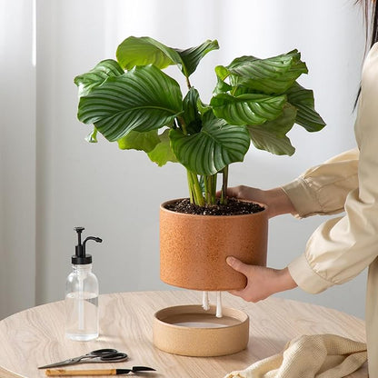 Self Watering Ceramic Planter: 8 Inch Plant Pot with Drainage Hole & Water Storage Plus for Outdoor & Indoor Plants, Succulents, Herbs - Flower Pot for Home or Office Decor - Terracotta