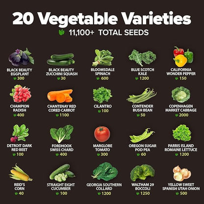 20 Heirloom Vegetable Seeds - 10,000+ Survival Seeds and Emergency Prepper Gear - Non GMO Vegetable Seeds for Planting Home Garden Variety Pack