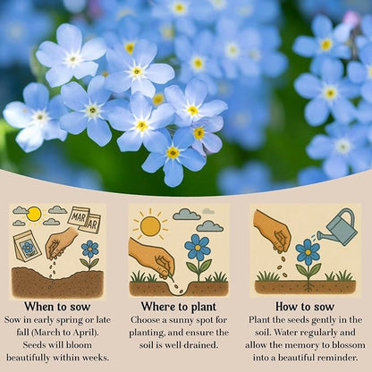 60Pack Forget Me Not Seeds Bulk - Memorial Seed Packets for Funeral Favors, Celebration of Life, Personalized Remembrance Gifts - Easy Planting Spring Flower Seeds Outdoor Garden Decor