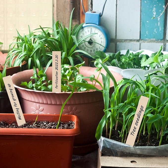 KINGLAKE GARDEN Wooden Plant Labels, 50 PCS 6 Inch Pointed Wooden Plant Sign Tags,Garden Tags Markers for Seed Potted Herbs Flowers Vegetables with Permanent Marking Pen(15 x 2cm)