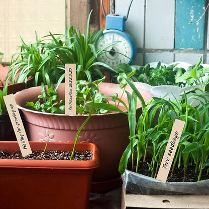 KINGLAKE GARDEN Wooden Plant Labels, 50 PCS 6 Inch Pointed Wooden Plant Sign Tags,Garden Tags Markers for Seed Potted Herbs Flowers Vegetables with Permanent Marking Pen(15 x 2cm)