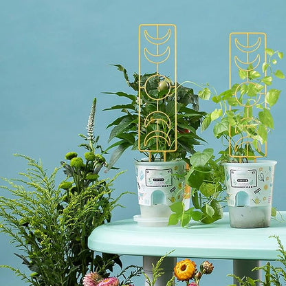 2 Pack Large Moon Phase Plant Trellis, 17.32 Inches Gold Metal Plant Trellis for Garden Indoor Climbing Plants, Climbing Plant Support for Potted Plants Houseplant Monstera Plant Ivy Vine