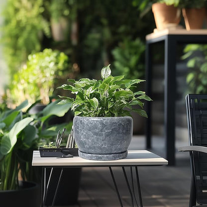 SQOWL 8 inch Plant pots Indoor - Ceramic Planter with Drainage Hole and Plant Saucer, Decorative Ceramic Flower Pot Outdoor, Modern Round Planter, Patio Porch Garden Decor, Garden Gifts, Gray